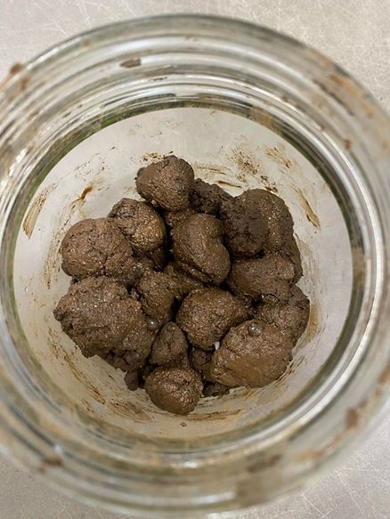 A close up of a glass jar filled with brown stones.