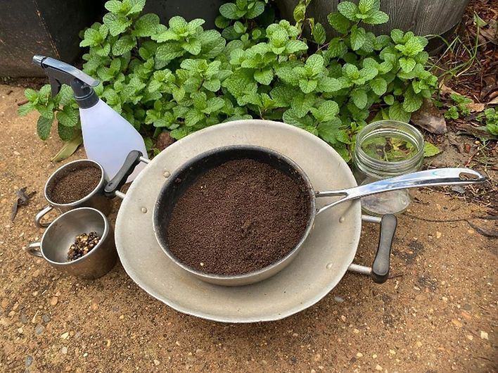 A pan filled with dirt is sitting on a plate next to a plant.