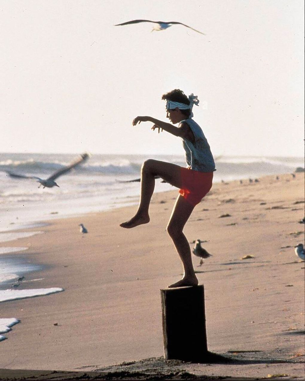 karate zarautz niรฑos