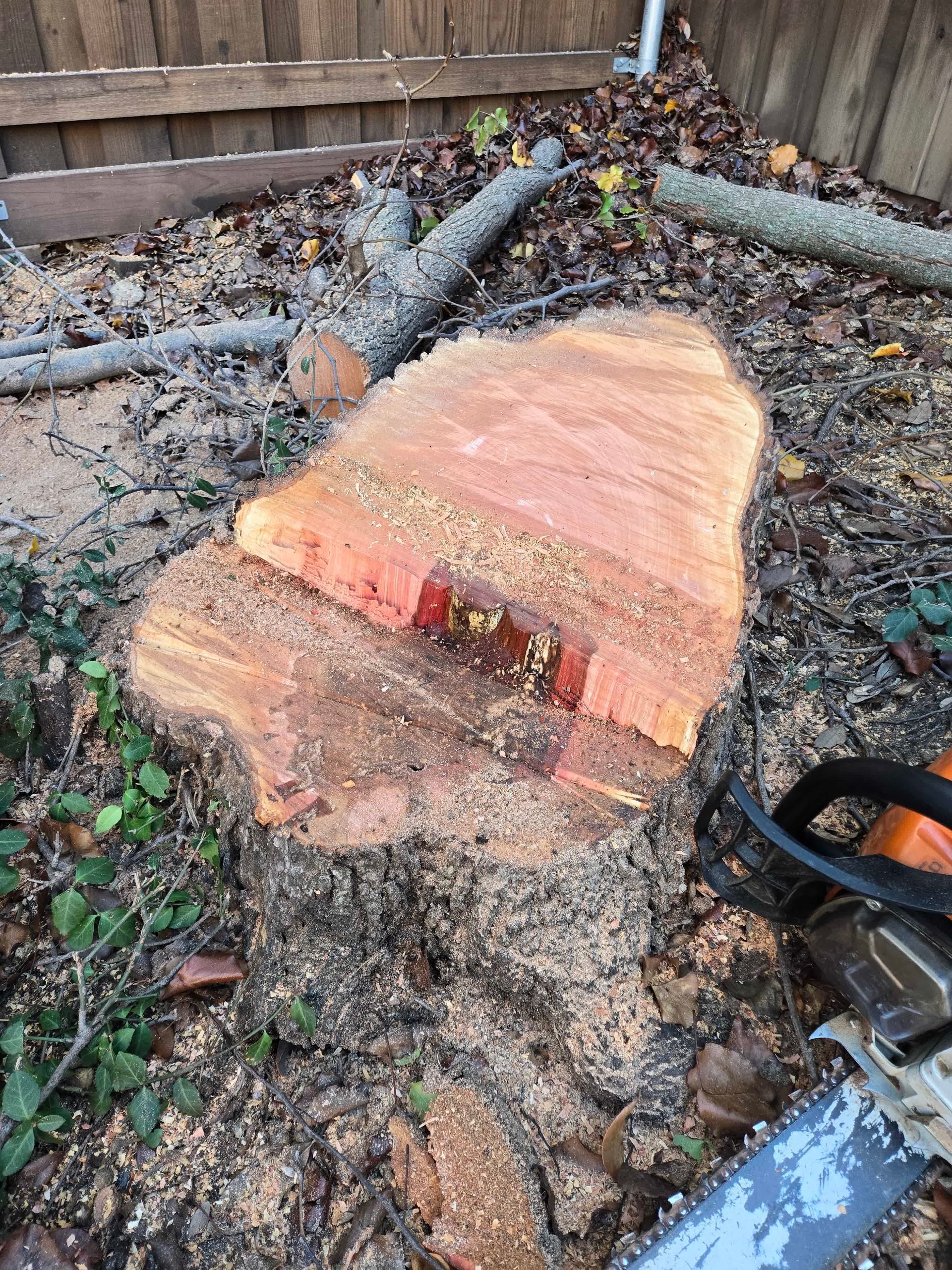 a man in a crane cutting a tree next to a truck full of leaves