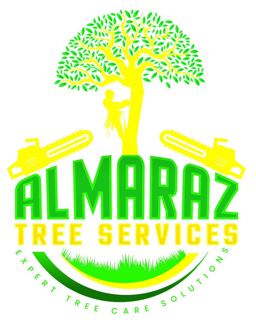 A logo for almaraz tree services with a tree and chainsaws.