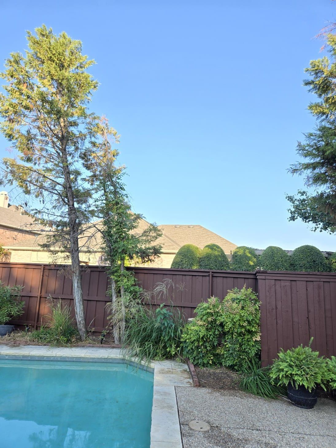 a man is kneeling down in a garden cutting a bush