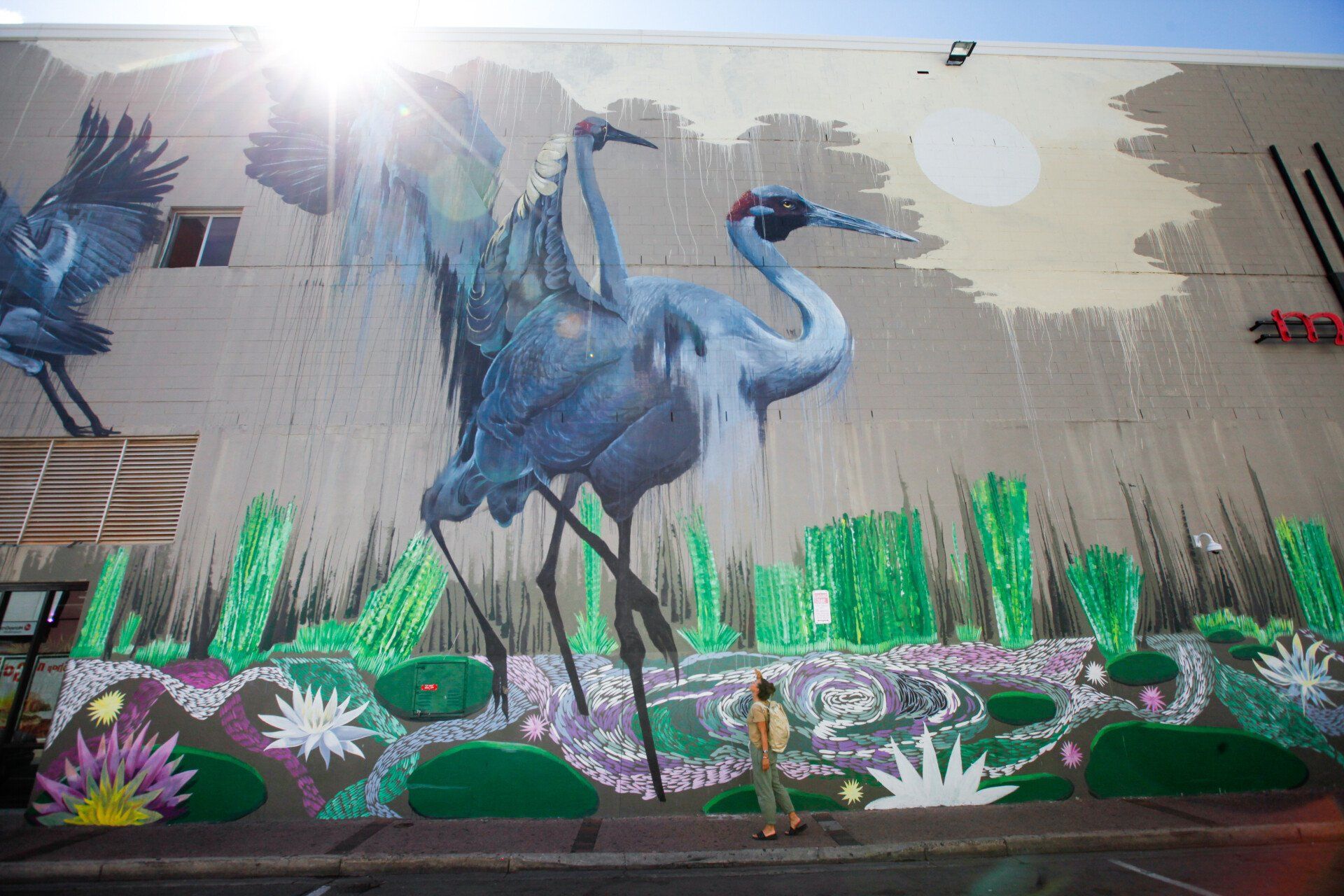 The Darwin Street Art Festival