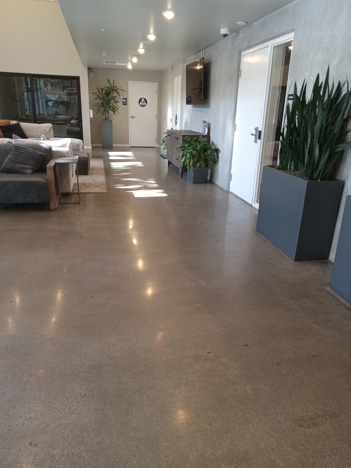 A&J Janitorial Services, San Pablo CA, El Cerrito CA, Richmond CA, Berkeley CA, Albany CA, Pinole CA, Lafayette CA, Vallejo CA, El Sobrante CA, Hercules, Concord CA, Benicia CA, Martinez CA, Walnut Creek CA, Orinda CA, Emeryville CA, Oakland CA, Pleasant Hill CA, Alameda CA, Tara Hills CA, Janitorial Services, Janitorial Services Near Me, Janitorial Company, Janitorial Company Near Me, Medical Office Janitorial, Medical Office Cleaning Services, Dental Office Janitorial, Dental Office Cleaning Services, Church Janitorial, Daycare Janitorial, Daycare Center Cleaning Services, Office Janitorial, Office Cleaning Services, School Janitorial, School Cleaning Services, Bank Janitorial, Bank Cleaning Services, Government Facilities Janitorial, Commercial Cleaning, Carpet Cleaning, Carpet Cleaner Near Me, Commercial Carpet Cleaning, Carpet Cleaning Company, Pressure Washing, Commercial Pressure Washing, Parking Lot Pressure Washing, Driveway Pressure Washing, Patio Pressure Washing, Walkway Pressure Washing, Sidewalk Pressure Washing, VCT Floors, VCT Floor Stripping, VCT Floor Waxing, Stain Wash Wood Floors, Cleaning Vacant Properties, Foreclosure Cleanouts, Apartment Cleaners Near Me, Apartment Cleanout, Apartment Move Outs, Apartment Building Cleaning Services, Electrostatic Disinfecting