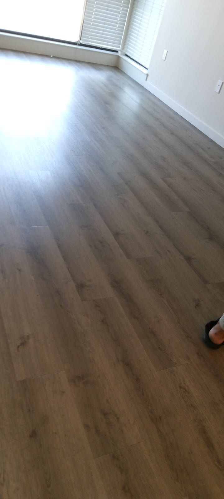 A&J Janitorial Services, San Pablo CA, El Cerrito CA, Richmond CA, Berkeley CA, Albany CA, Pinole CA, Lafayette CA, Vallejo CA, El Sobrante CA, Hercules, Concord CA, Benicia CA, Martinez CA, Walnut Creek CA, Orinda CA, Emeryville CA, Oakland CA, Pleasant Hill CA, Alameda CA, Tara Hills CA, Janitorial Services, Janitorial Services Near Me, Janitorial Company, Janitorial Company Near Me, Medical Office Janitorial, Medical Office Cleaning Services, Dental Office Janitorial, Dental Office Cleaning Services, Church Janitorial, Daycare Janitorial, Daycare Center Cleaning Services, Office Janitorial, Office Cleaning Services, School Janitorial, School Cleaning Services, Bank Janitorial, Bank Cleaning Services, Government Facilities Janitorial, Commercial Cleaning, Carpet Cleaning, Carpet Cleaner Near Me, Commercial Carpet Cleaning, Carpet Cleaning Company, Pressure Washing, Commercial Pressure Washing, Parking Lot Pressure Washing, Driveway Pressure Washing, Patio Pressure Washing, Walkway Pressure Washing, Sidewalk Pressure Washing, VCT Floors, VCT Floor Stripping, VCT Floor Waxing, Stain Wash Wood Floors, Cleaning Vacant Properties, Foreclosure Cleanouts, Apartment Cleaners Near Me, Apartment Cleanout, Apartment Move Outs, Apartment Building Cleaning Services, Electrostatic Disinfecting