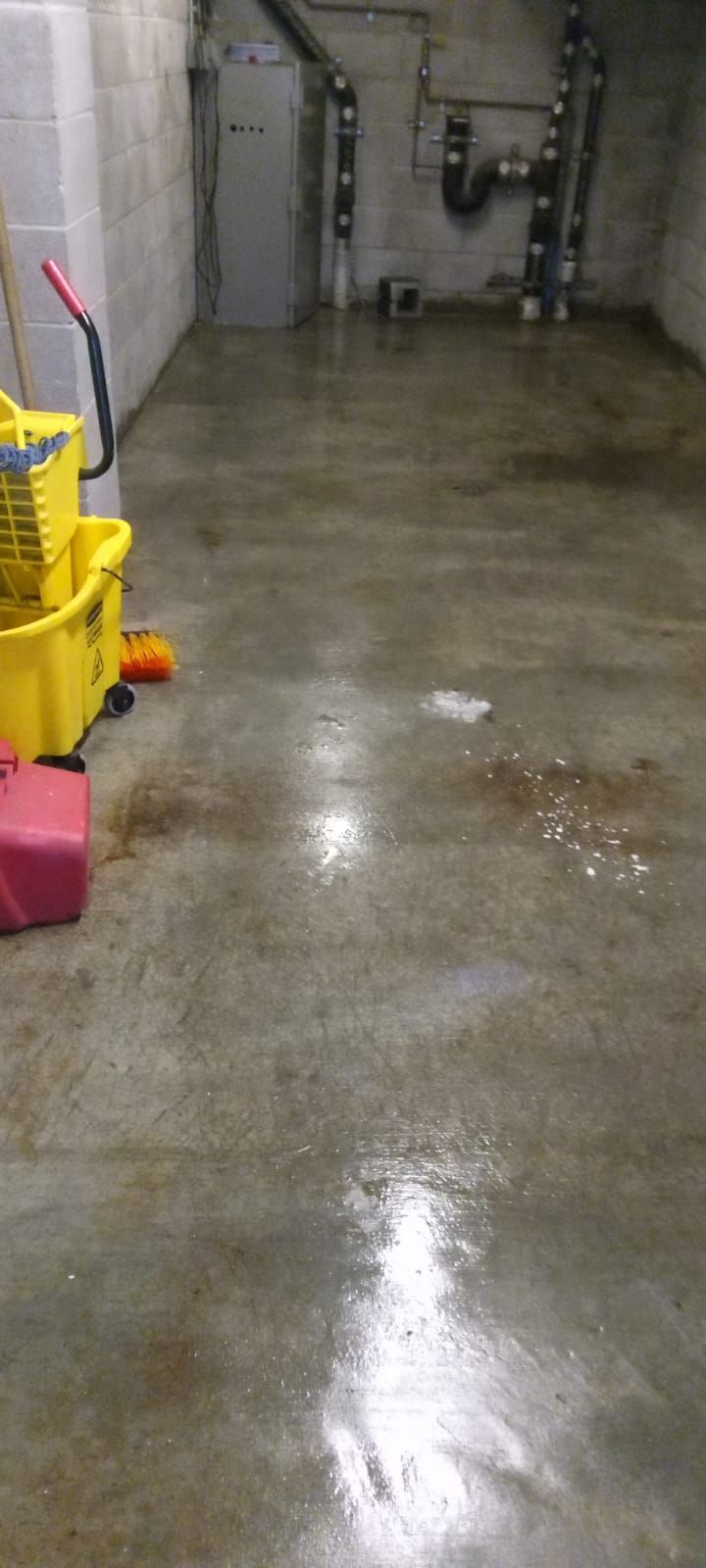 A&J Janitorial Services, San Pablo CA, El Cerrito CA, Richmond CA, Berkeley CA, Albany CA, Pinole CA, Lafayette CA, Vallejo CA, El Sobrante CA, Hercules, Concord CA, Benicia CA, Martinez CA, Walnut Creek CA, Orinda CA, Emeryville CA, Oakland CA, Pleasant Hill CA, Alameda CA, Tara Hills CA, Janitorial Services, Janitorial Services Near Me, Janitorial Company, Janitorial Company Near Me, Medical Office Janitorial, Medical Office Cleaning Services, Dental Office Janitorial, Dental Office Cleaning Services, Church Janitorial, Daycare Janitorial, Daycare Center Cleaning Services, Office Janitorial, Office Cleaning Services, School Janitorial, School Cleaning Services, Bank Janitorial, Bank Cleaning Services, Government Facilities Janitorial, Commercial Cleaning, Carpet Cleaning, Carpet Cleaner Near Me, Commercial Carpet Cleaning, Carpet Cleaning Company, Pressure Washing, Commercial Pressure Washing, Parking Lot Pressure Washing, Driveway Pressure Washing, Patio Pressure Washing, Walkway Pressure Washing, Sidewalk Pressure Washing, VCT Floors, VCT Floor Stripping, VCT Floor Waxing, Stain Wash Wood Floors, Cleaning Vacant Properties, Foreclosure Cleanouts, Apartment Cleaners Near Me, Apartment Cleanout, Apartment Move Outs, Apartment Building Cleaning Services, Electrostatic Disinfecting