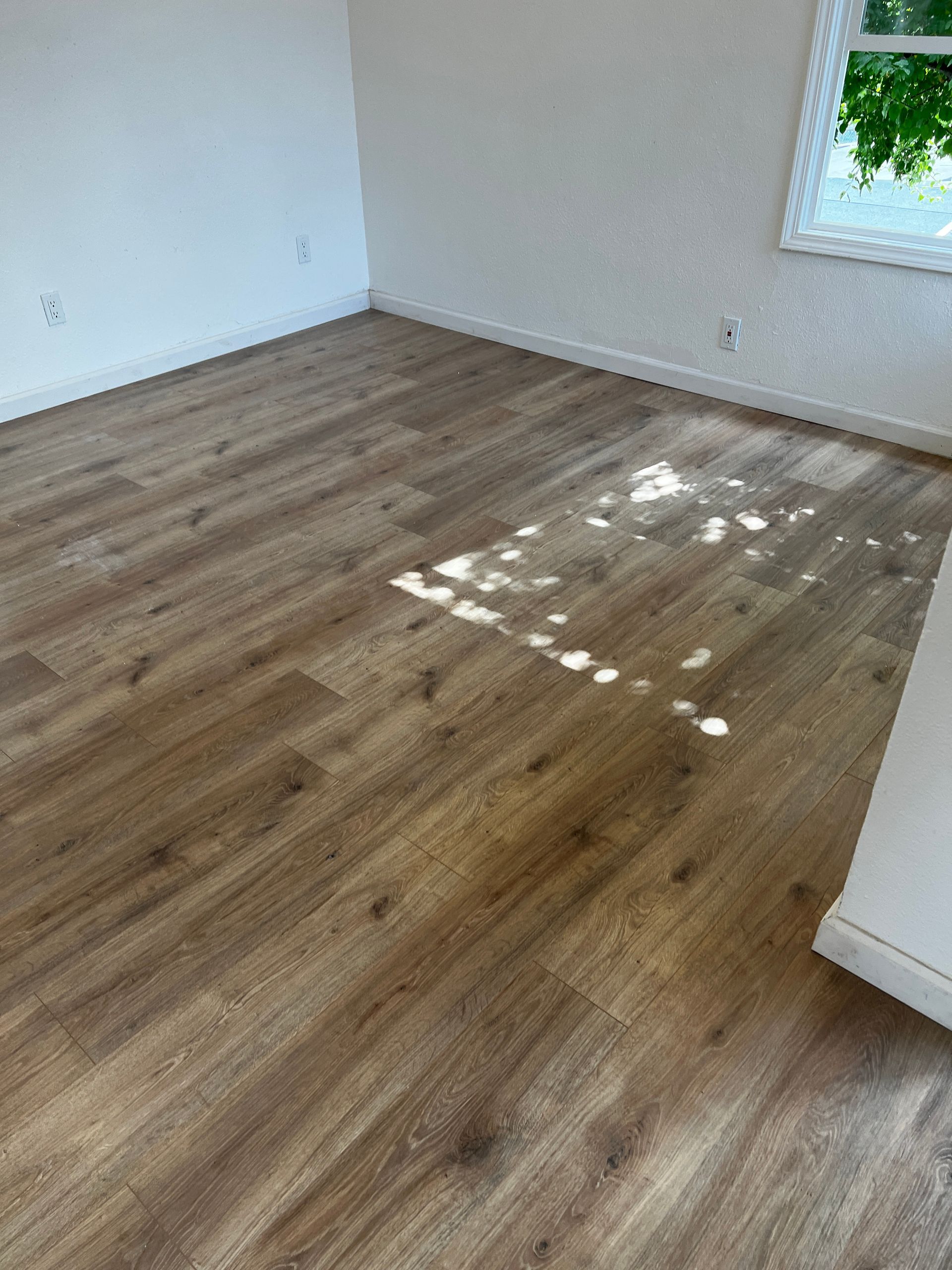 A&J Janitorial Services, San Pablo CA, El Cerrito CA, Richmond CA, Berkeley CA, Albany CA, Pinole CA, Lafayette CA, Vallejo CA, El Sobrante CA, Hercules, Concord CA, Benicia CA, Martinez CA, Walnut Creek CA, Orinda CA, Emeryville CA, Oakland CA, Pleasant Hill CA, Alameda CA, Tara Hills CA, Janitorial Services, Janitorial Services Near Me, Janitorial Company, Janitorial Company Near Me, Medical Office Janitorial, Medical Office Cleaning Services, Dental Office Janitorial, Dental Office Cleaning Services, Church Janitorial, Daycare Janitorial, Daycare Center Cleaning Services, Office Janitorial, Office Cleaning Services, School Janitorial, School Cleaning Services, Bank Janitorial, Bank Cleaning Services, Government Facilities Janitorial, Commercial Cleaning, Carpet Cleaning, Carpet Cleaner Near Me, Commercial Carpet Cleaning, Carpet Cleaning Company, Pressure Washing, Commercial Pressure Washing, Parking Lot Pressure Washing, Driveway Pressure Washing, Patio Pressure Washing, Walkway Pressure Washing, Sidewalk Pressure Washing, VCT Floors, VCT Floor Stripping, VCT Floor Waxing, Stain Wash Wood Floors, Cleaning Vacant Properties, Foreclosure Cleanouts, Apartment Cleaners Near Me, Apartment Cleanout, Apartment Move Outs, Apartment Building Cleaning Services, Electrostatic Disinfecting