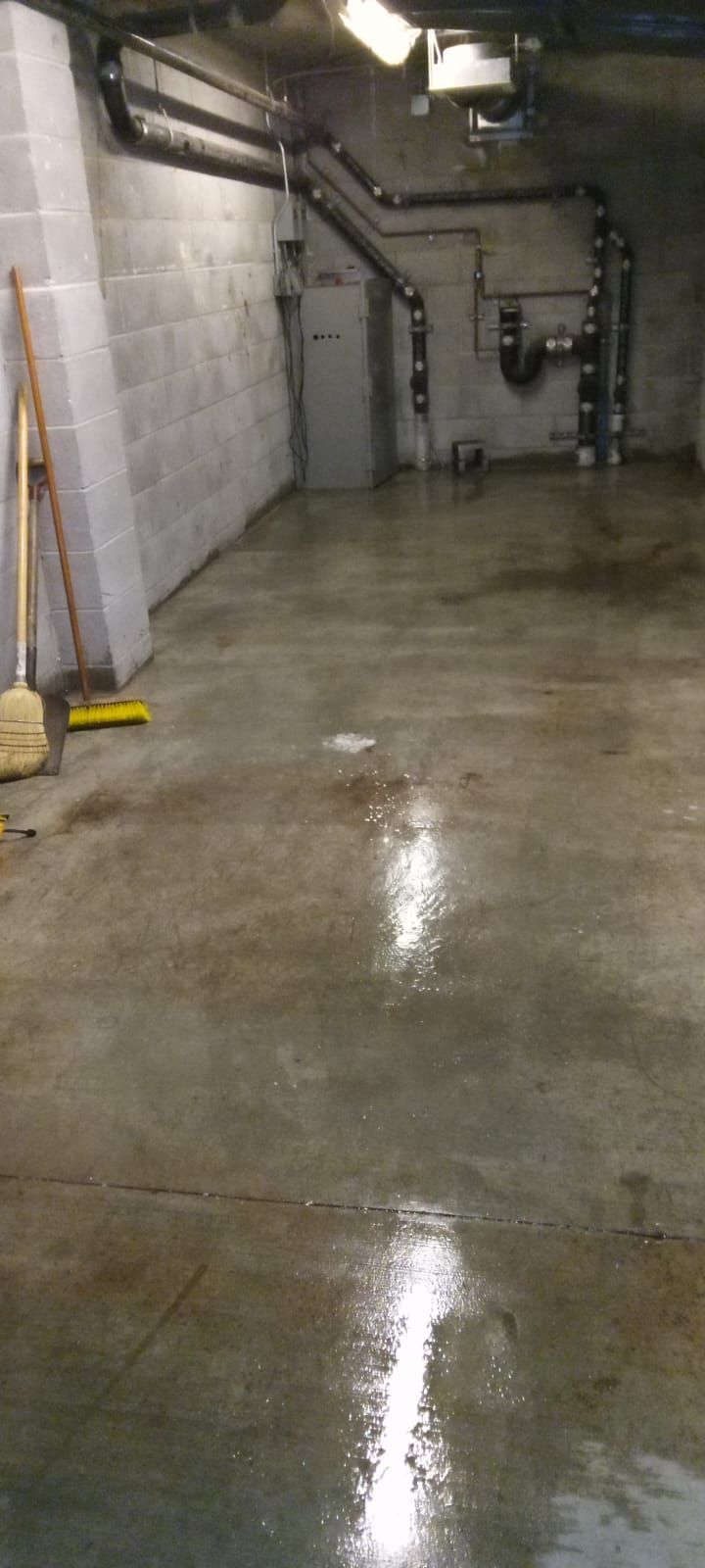 A&J Janitorial Services, San Pablo CA, El Cerrito CA, Richmond CA, Berkeley CA, Albany CA, Pinole CA, Lafayette CA, Vallejo CA, El Sobrante CA, Hercules, Concord CA, Benicia CA, Martinez CA, Walnut Creek CA, Orinda CA, Emeryville CA, Oakland CA, Pleasant Hill CA, Alameda CA, Tara Hills CA, Janitorial Services, Janitorial Services Near Me, Janitorial Company, Janitorial Company Near Me, Medical Office Janitorial, Medical Office Cleaning Services, Dental Office Janitorial, Dental Office Cleaning Services, Church Janitorial, Daycare Janitorial, Daycare Center Cleaning Services, Office Janitorial, Office Cleaning Services, School Janitorial, School Cleaning Services, Bank Janitorial, Bank Cleaning Services, Government Facilities Janitorial, Commercial Cleaning, Carpet Cleaning, Carpet Cleaner Near Me, Commercial Carpet Cleaning, Carpet Cleaning Company, Pressure Washing, Commercial Pressure Washing, Parking Lot Pressure Washing, Driveway Pressure Washing, Patio Pressure Washing, Walkway Pressure Washing, Sidewalk Pressure Washing, VCT Floors, VCT Floor Stripping, VCT Floor Waxing, Stain Wash Wood Floors, Cleaning Vacant Properties, Foreclosure Cleanouts, Apartment Cleaners Near Me, Apartment Cleanout, Apartment Move Outs, Apartment Building Cleaning Services, Electrostatic Disinfecting