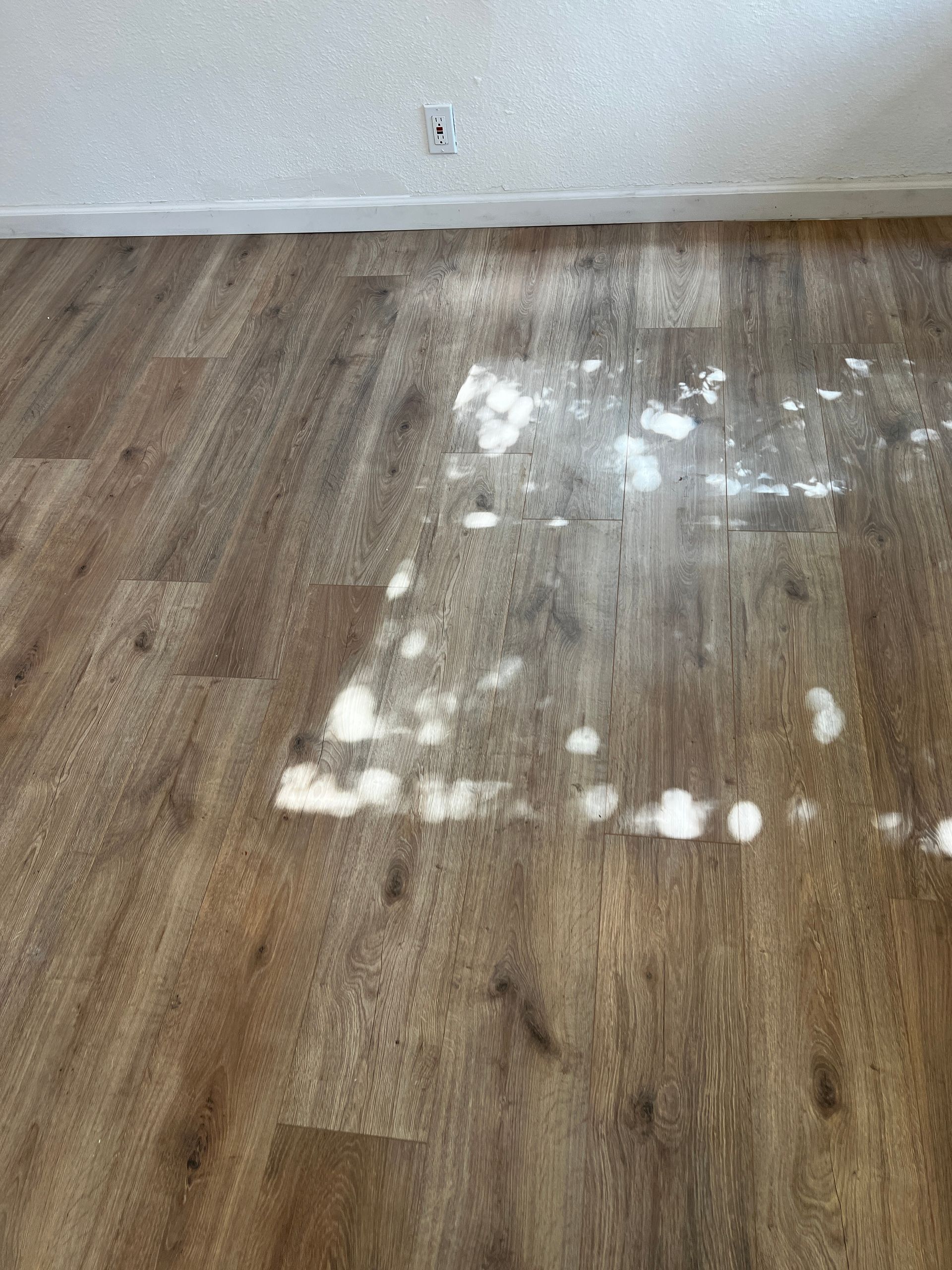 A&J Janitorial Services, San Pablo CA, El Cerrito CA, Richmond CA, Berkeley CA, Albany CA, Pinole CA, Lafayette CA, Vallejo CA, El Sobrante CA, Hercules, Concord CA, Benicia CA, Martinez CA, Walnut Creek CA, Orinda CA, Emeryville CA, Oakland CA, Pleasant Hill CA, Alameda CA, Tara Hills CA, Janitorial Services, Janitorial Services Near Me, Janitorial Company, Janitorial Company Near Me, Medical Office Janitorial, Medical Office Cleaning Services, Dental Office Janitorial, Dental Office Cleaning Services, Church Janitorial, Daycare Janitorial, Daycare Center Cleaning Services, Office Janitorial, Office Cleaning Services, School Janitorial, School Cleaning Services, Bank Janitorial, Bank Cleaning Services, Government Facilities Janitorial, Commercial Cleaning, Carpet Cleaning, Carpet Cleaner Near Me, Commercial Carpet Cleaning, Carpet Cleaning Company, Pressure Washing, Commercial Pressure Washing, Parking Lot Pressure Washing, Driveway Pressure Washing, Patio Pressure Washing, Walkway Pressure Washing, Sidewalk Pressure Washing, VCT Floors, VCT Floor Stripping, VCT Floor Waxing, Stain Wash Wood Floors, Cleaning Vacant Properties, Foreclosure Cleanouts, Apartment Cleaners Near Me, Apartment Cleanout, Apartment Move Outs, Apartment Building Cleaning Services, Electrostatic Disinfecting