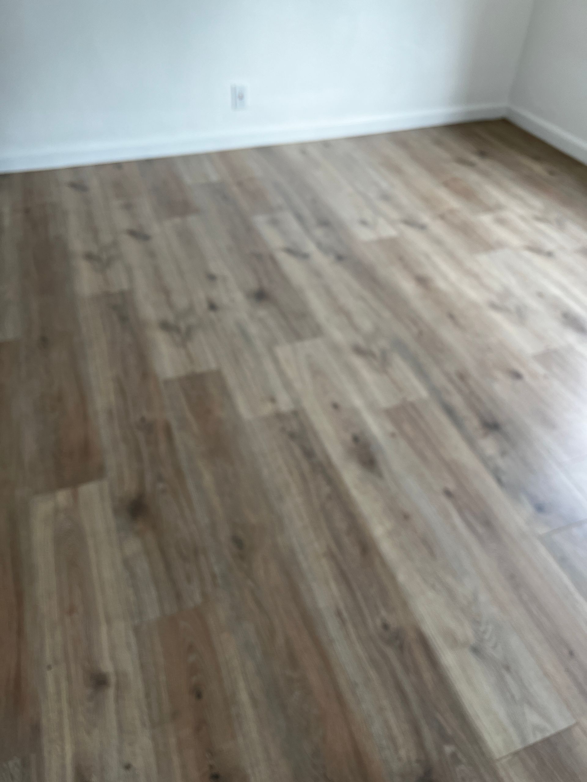 A&J Janitorial Services, San Pablo CA, El Cerrito CA, Richmond CA, Berkeley CA, Albany CA, Pinole CA, Lafayette CA, Vallejo CA, El Sobrante CA, Hercules, Concord CA, Benicia CA, Martinez CA, Walnut Creek CA, Orinda CA, Emeryville CA, Oakland CA, Pleasant Hill CA, Alameda CA, Tara Hills CA, Janitorial Services, Janitorial Services Near Me, Janitorial Company, Janitorial Company Near Me, Medical Office Janitorial, Medical Office Cleaning Services, Dental Office Janitorial, Dental Office Cleaning Services, Church Janitorial, Daycare Janitorial, Daycare Center Cleaning Services, Office Janitorial, Office Cleaning Services, School Janitorial, School Cleaning Services, Bank Janitorial, Bank Cleaning Services, Government Facilities Janitorial, Commercial Cleaning, Carpet Cleaning, Carpet Cleaner Near Me, Commercial Carpet Cleaning, Carpet Cleaning Company, Pressure Washing, Commercial Pressure Washing, Parking Lot Pressure Washing, Driveway Pressure Washing, Patio Pressure Washing, Walkway Pressure Washing, Sidewalk Pressure Washing, VCT Floors, VCT Floor Stripping, VCT Floor Waxing, Stain Wash Wood Floors, Cleaning Vacant Properties, Foreclosure Cleanouts, Apartment Cleaners Near Me, Apartment Cleanout, Apartment Move Outs, Apartment Building Cleaning Services, Electrostatic Disinfecting