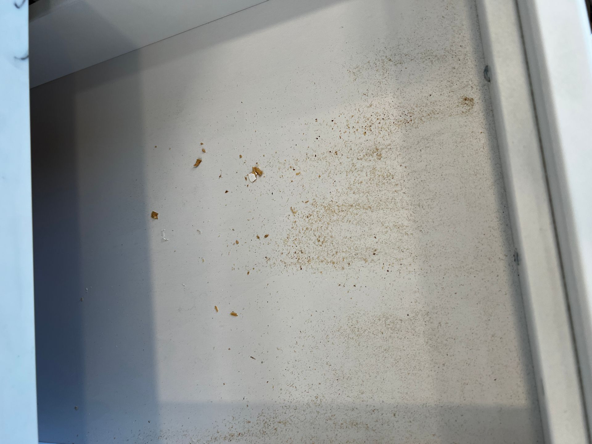 A&J Janitorial Services, San Pablo CA, El Cerrito CA, Richmond CA, Berkeley CA, Albany CA, Pinole CA, Lafayette CA, Vallejo CA, El Sobrante CA, Hercules, Concord CA, Benicia CA, Martinez CA, Walnut Creek CA, Orinda CA, Emeryville CA, Oakland CA, Pleasant Hill CA, Alameda CA, Tara Hills CA, Janitorial Services, Janitorial Services Near Me, Janitorial Company, Janitorial Company Near Me, Medical Office Janitorial, Medical Office Cleaning Services, Dental Office Janitorial, Dental Office Cleaning Services, Church Janitorial, Daycare Janitorial, Daycare Center Cleaning Services, Office Janitorial, Office Cleaning Services, School Janitorial, School Cleaning Services, Bank Janitorial, Bank Cleaning Services, Government Facilities Janitorial, Commercial Cleaning, Carpet Cleaning, Carpet Cleaner Near Me, Commercial Carpet Cleaning, Carpet Cleaning Company, Pressure Washing, Commercial Pressure Washing, Parking Lot Pressure Washing, Driveway Pressure Washing, Patio Pressure Washing, Walkway Pressure Washing, Sidewalk Pressure Washing, VCT Floors, VCT Floor Stripping, VCT Floor Waxing, Stain Wash Wood Floors, Cleaning Vacant Properties, Foreclosure Cleanouts, Apartment Cleaners Near Me, Apartment Cleanout, Apartment Move Outs, Apartment Building Cleaning Services, Electrostatic Disinfecting