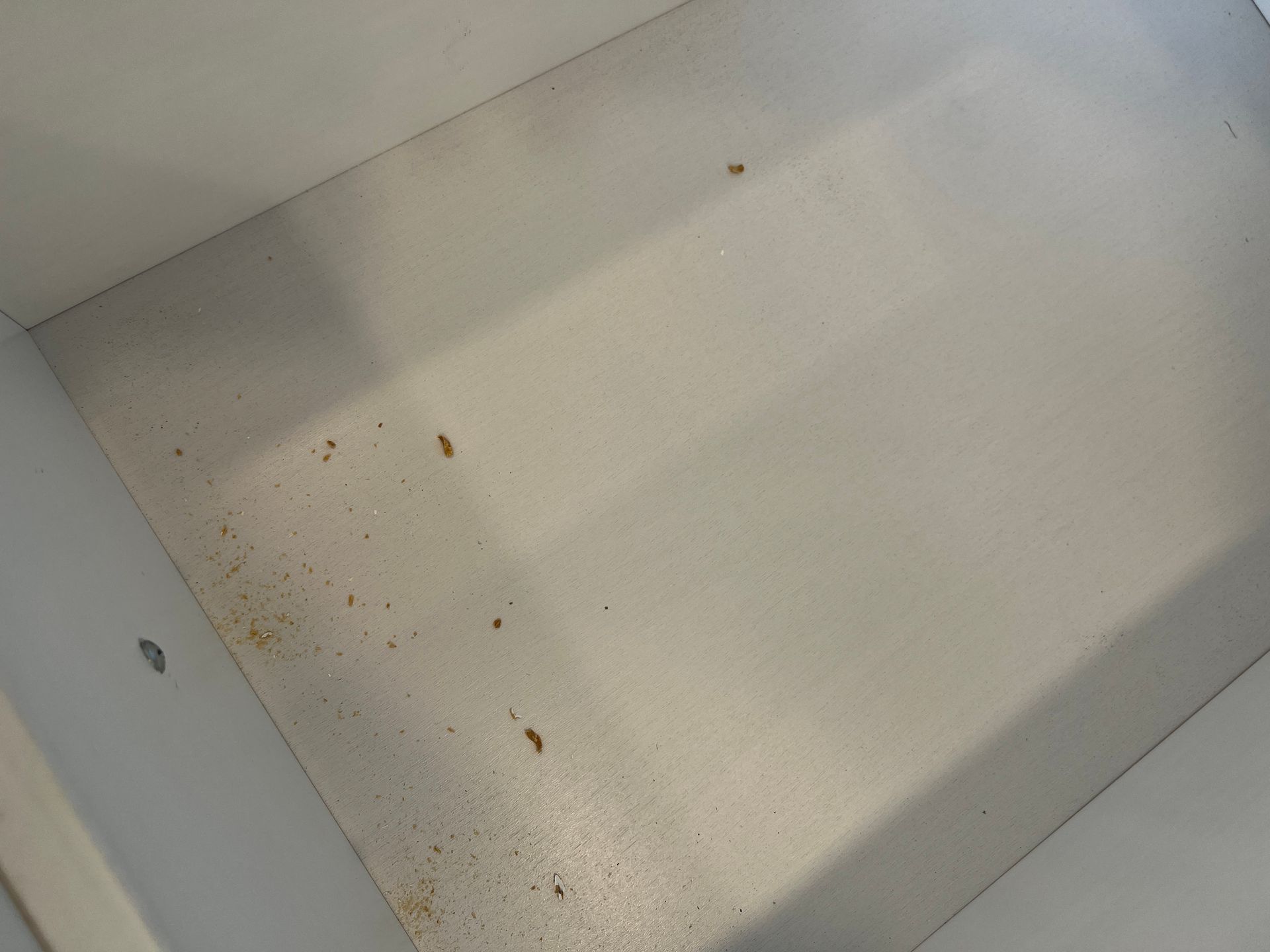 A&J Janitorial Services, San Pablo CA, El Cerrito CA, Richmond CA, Berkeley CA, Albany CA, Pinole CA, Lafayette CA, Vallejo CA, El Sobrante CA, Hercules, Concord CA, Benicia CA, Martinez CA, Walnut Creek CA, Orinda CA, Emeryville CA, Oakland CA, Pleasant Hill CA, Alameda CA, Tara Hills CA, Janitorial Services, Janitorial Services Near Me, Janitorial Company, Janitorial Company Near Me, Medical Office Janitorial, Medical Office Cleaning Services, Dental Office Janitorial, Dental Office Cleaning Services, Church Janitorial, Daycare Janitorial, Daycare Center Cleaning Services, Office Janitorial, Office Cleaning Services, School Janitorial, School Cleaning Services, Bank Janitorial, Bank Cleaning Services, Government Facilities Janitorial, Commercial Cleaning, Carpet Cleaning, Carpet Cleaner Near Me, Commercial Carpet Cleaning, Carpet Cleaning Company, Pressure Washing, Commercial Pressure Washing, Parking Lot Pressure Washing, Driveway Pressure Washing, Patio Pressure Washing, Walkway Pressure Washing, Sidewalk Pressure Washing, VCT Floors, VCT Floor Stripping, VCT Floor Waxing, Stain Wash Wood Floors, Cleaning Vacant Properties, Foreclosure Cleanouts, Apartment Cleaners Near Me, Apartment Cleanout, Apartment Move Outs, Apartment Building Cleaning Services, Electrostatic Disinfecting