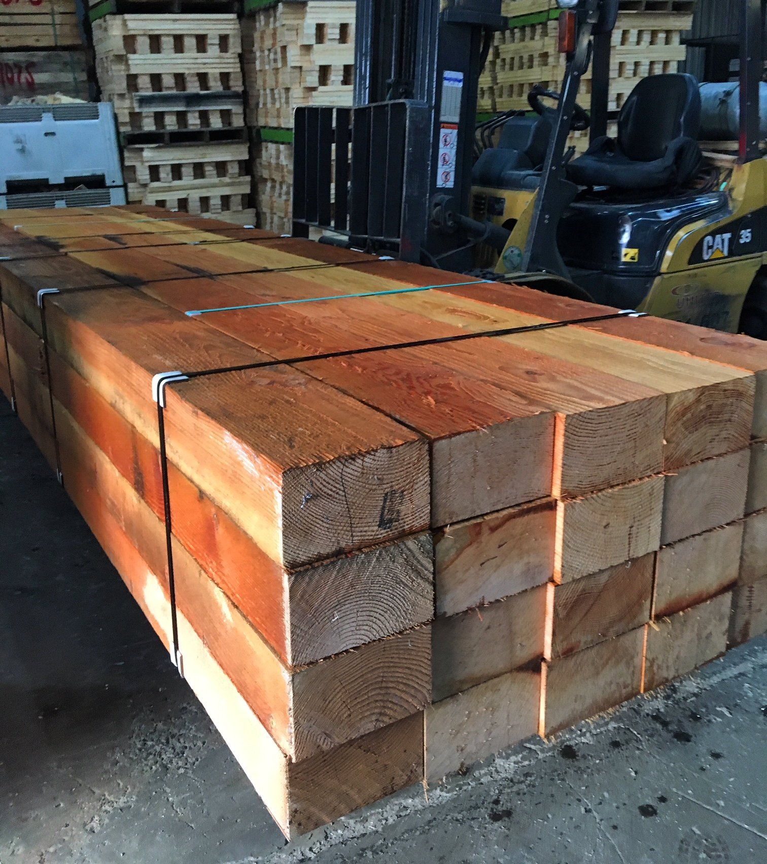 Timber Gluts 20