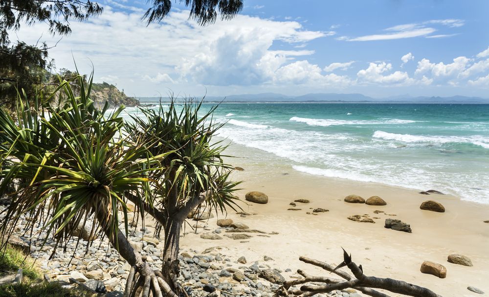 A Beach With A Tree In The Foreground And The Ocean In The Background — Tweed Byron Recycling In Tweed Heads, NSW