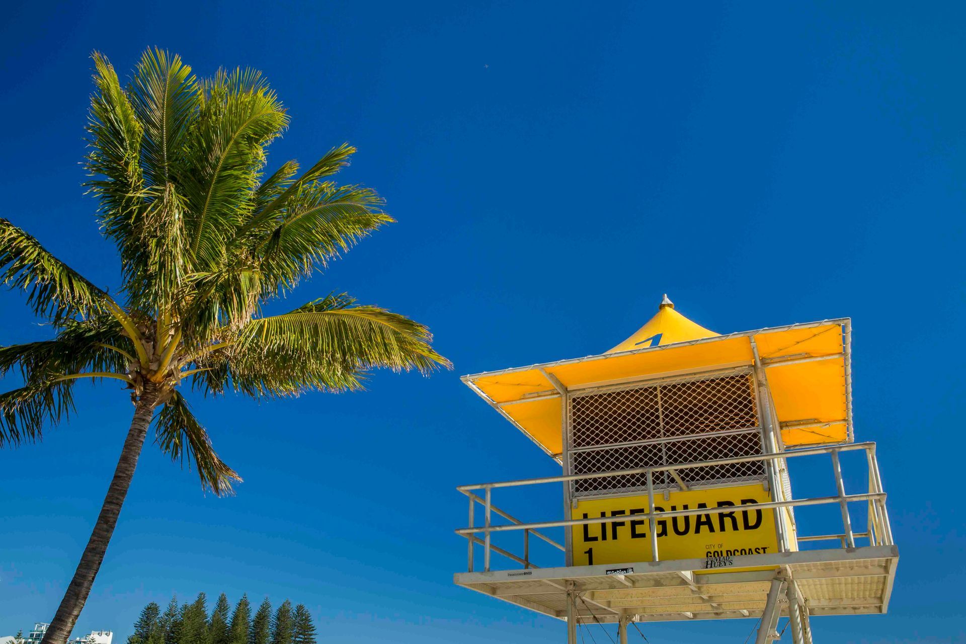A Lifeguard Tower With A Palm Tree In The Background — Tweed Byron Recycling In Tweed Heads, NSW