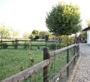 spazi dell'allevamento