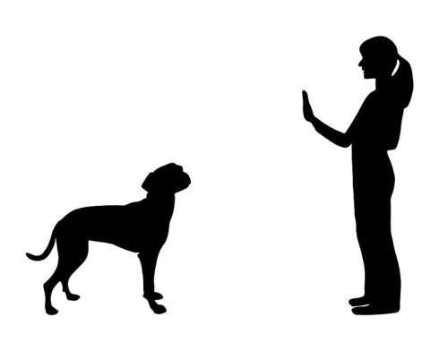 illustrazione di un istruttore con cane