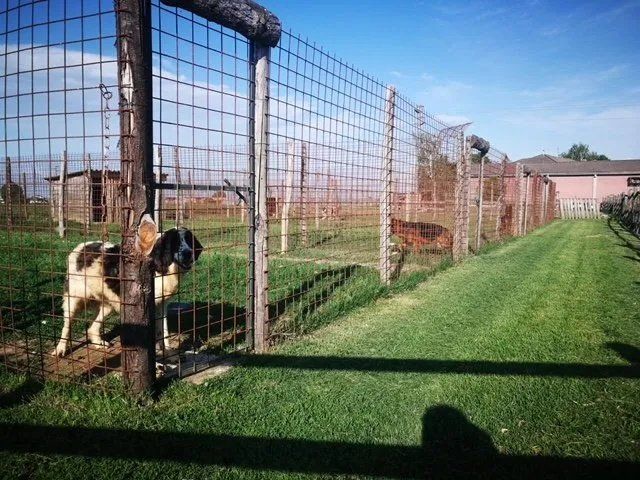 ampio prato verde per giocare