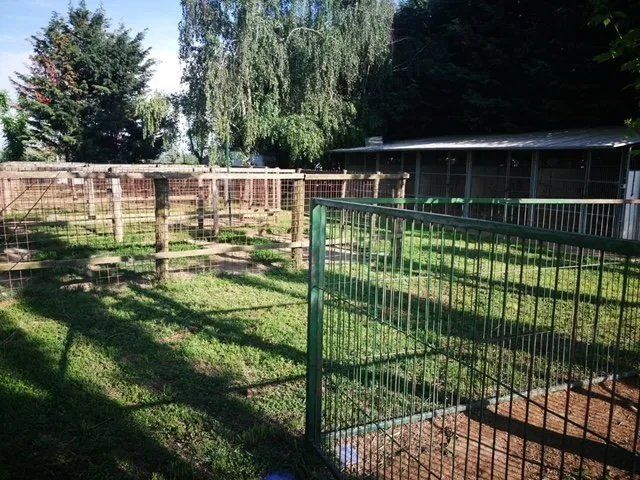 grandi porzioni di terra