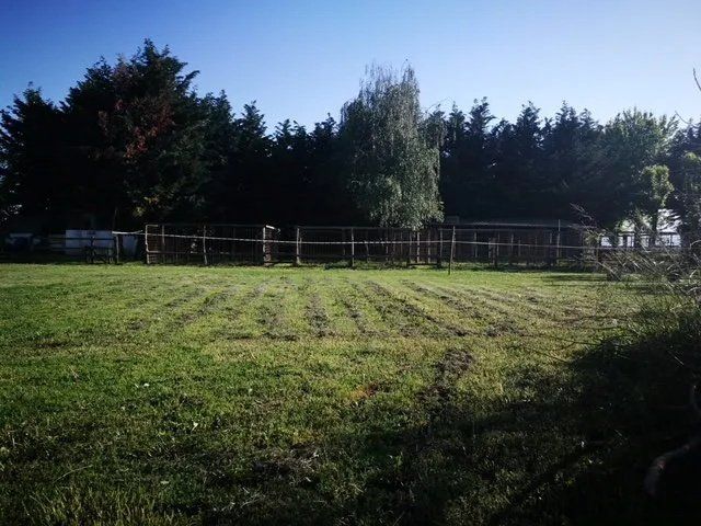 prato verde per giocare e correre