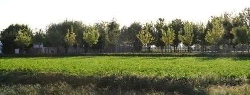 ampio spazio esterno