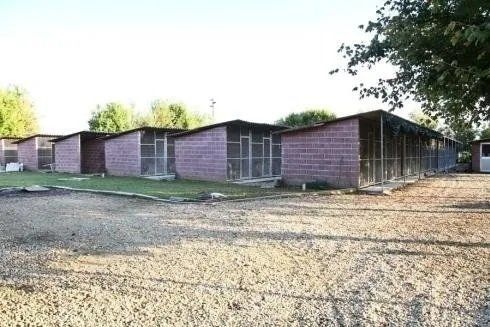 strutture per la pensione di cani e gatti