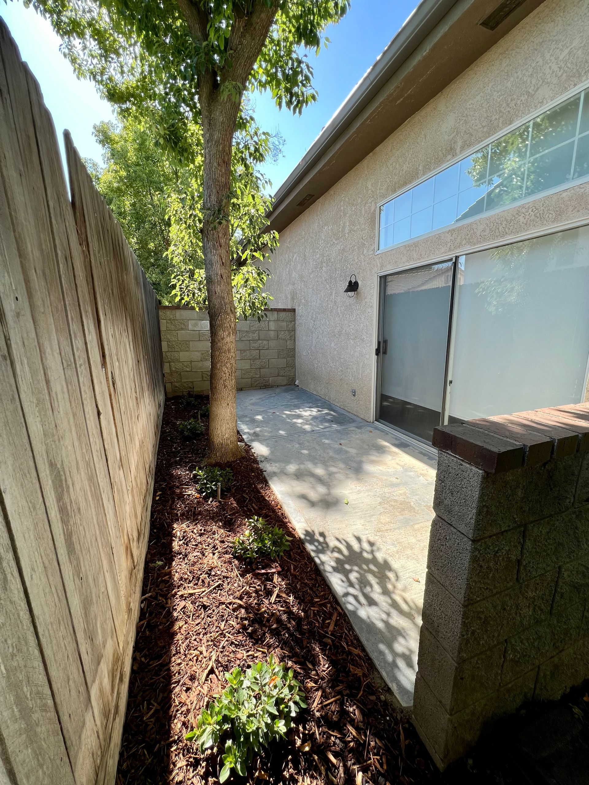 There is a tree in the backyard of a house.