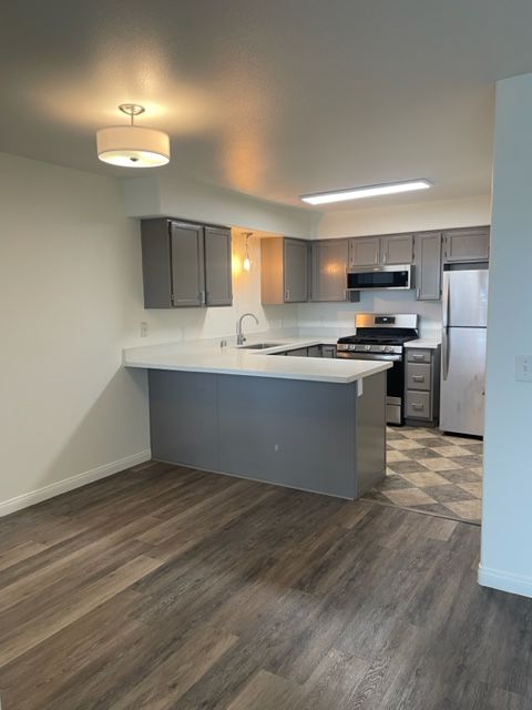 A kitchen with stainless steel appliances and gray cabinets