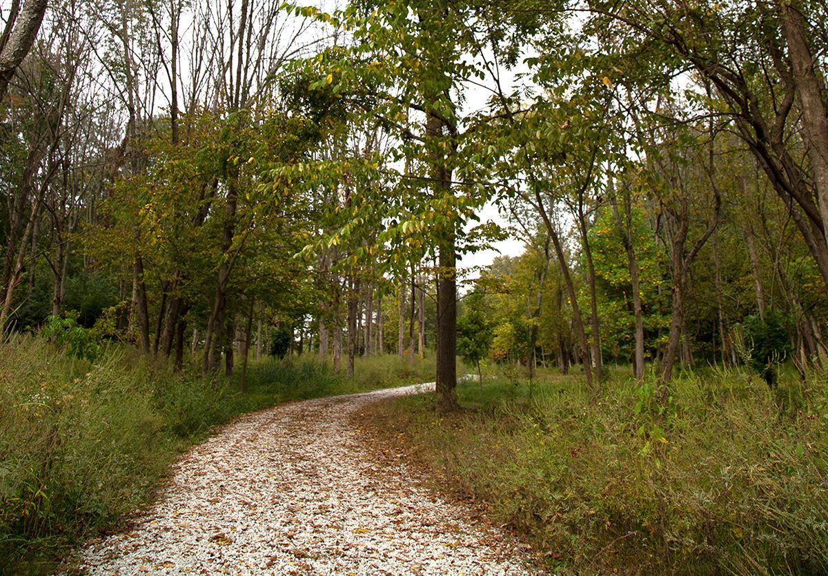 Washington Park North Path