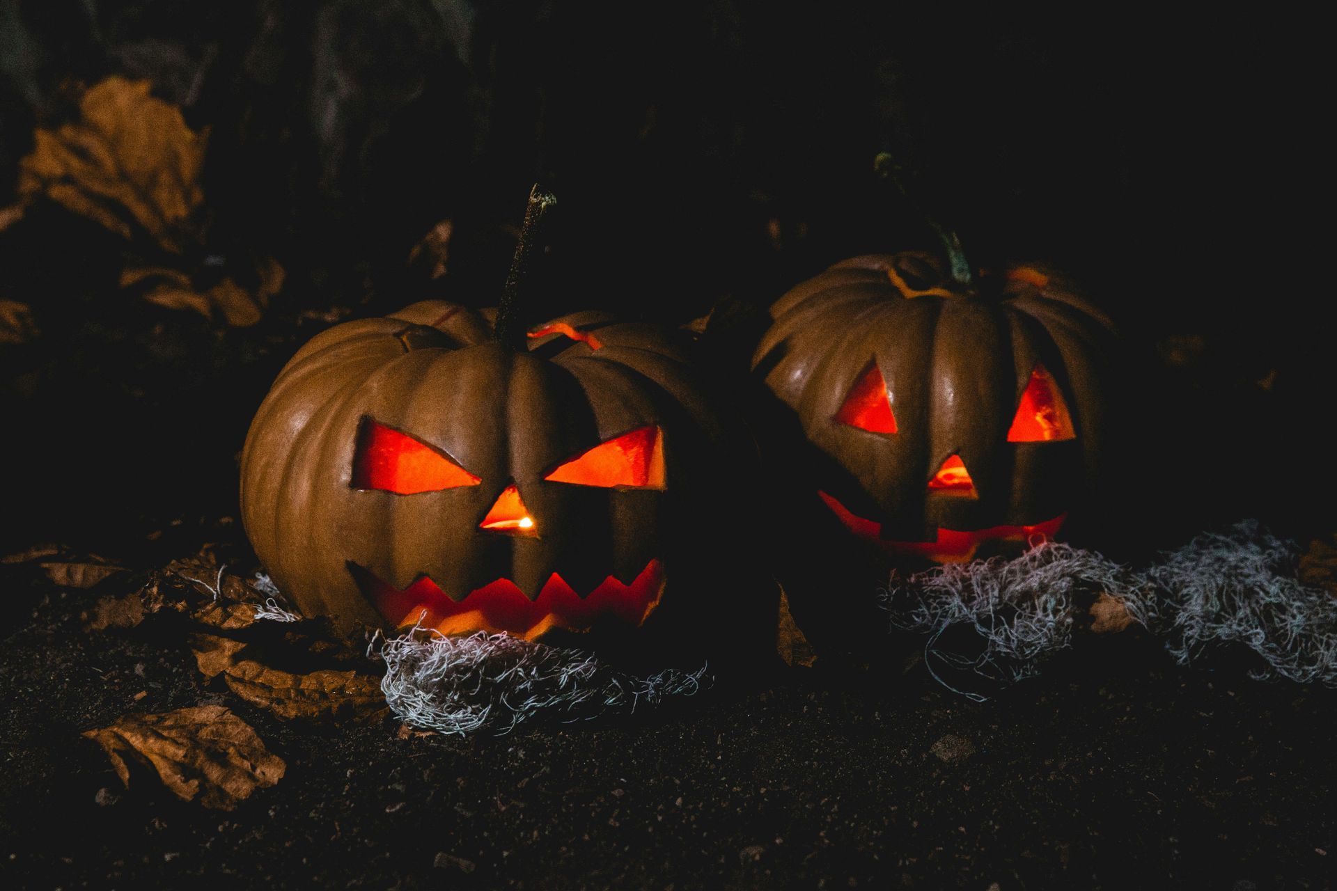 Halloween Tour