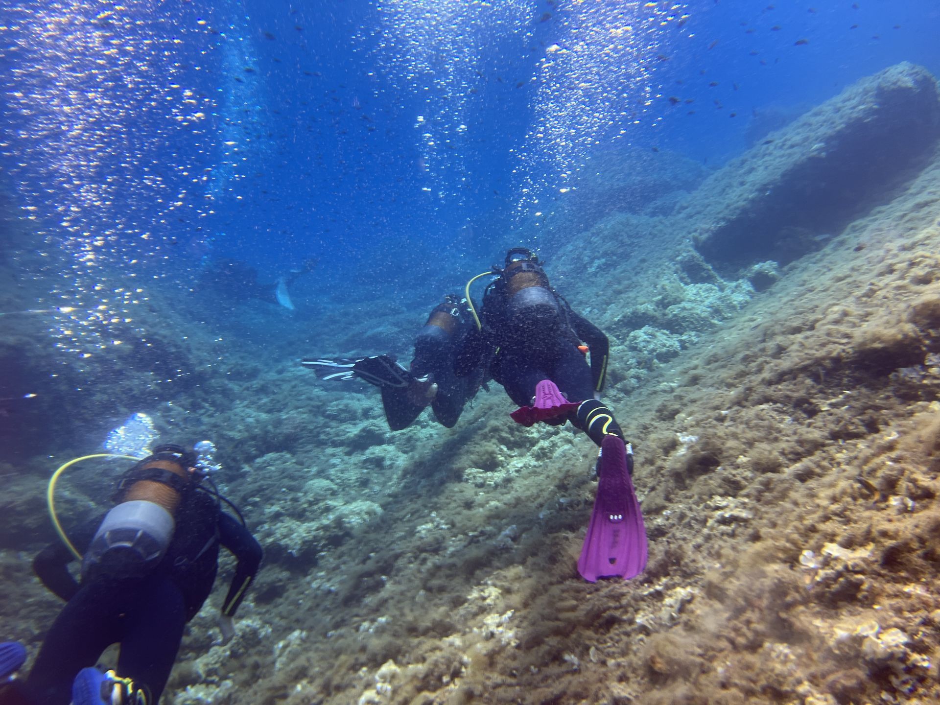 Fritidsdykning - en ny verden åbner sig. 