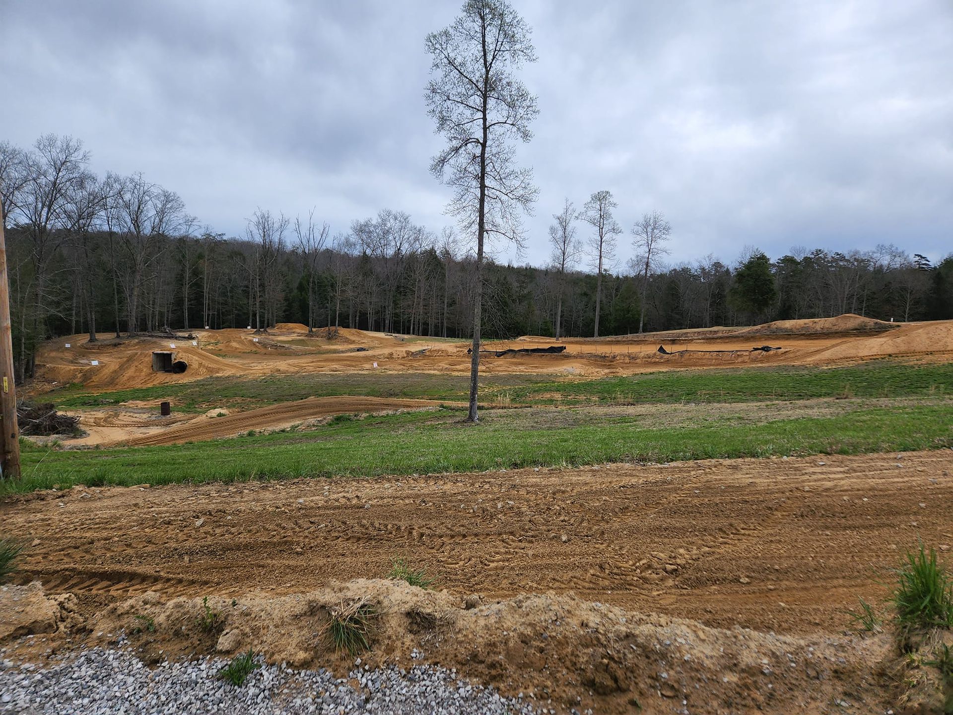 An open field with patches of dirt and grass, set against a background of bare trees under a cloudy sky.
