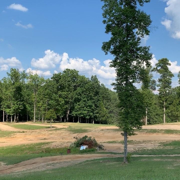 A sunny landscape features patches of cleared dirt, green grass, and a line of dense green trees under a blue sky.