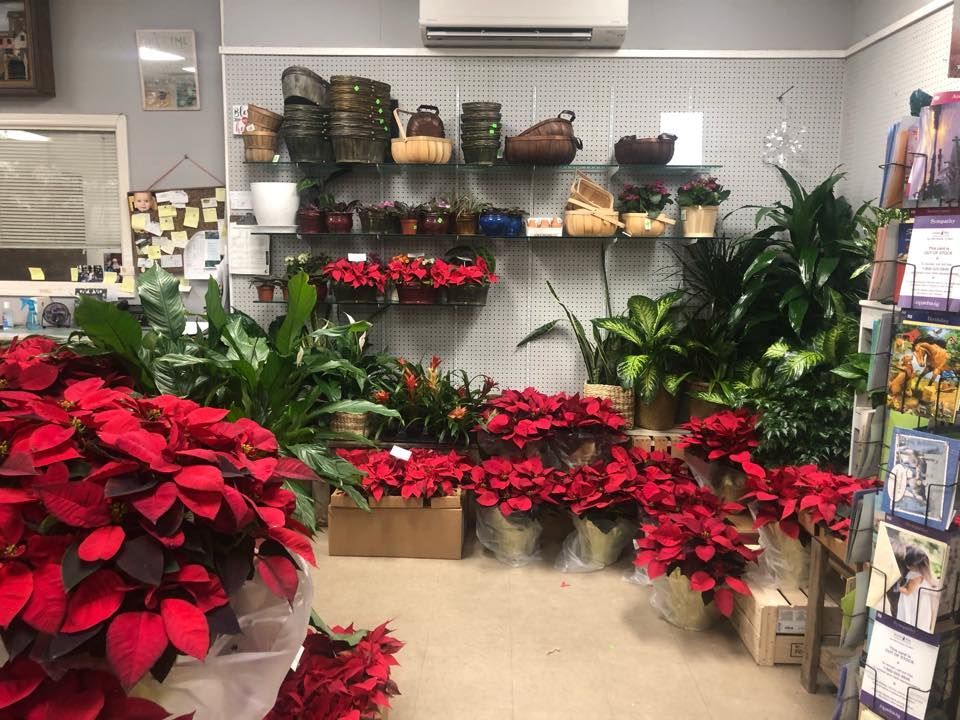 A room filled with lots of potted plants and greeting cards.