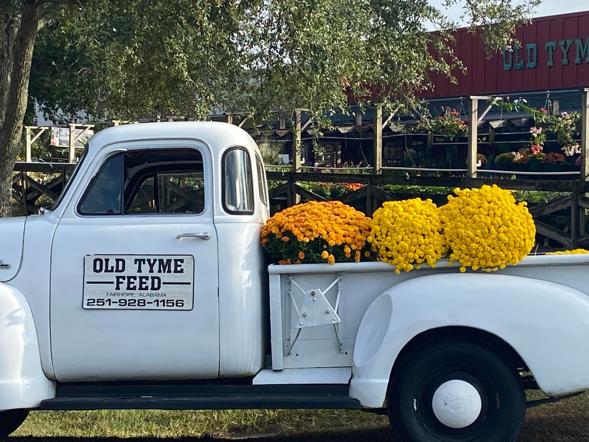 A white truck with yellow flowers in the back is parked in front of an old tyme feed store.