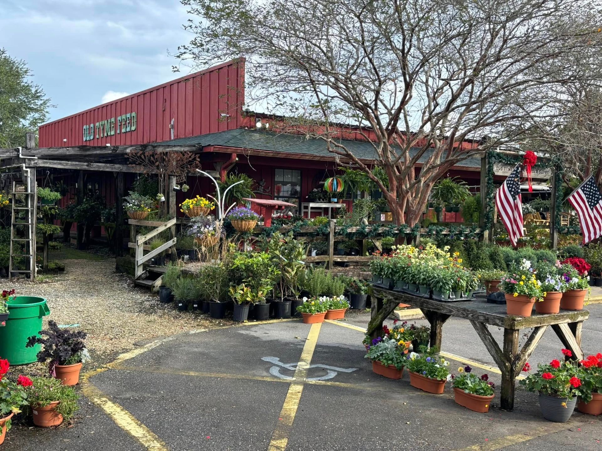 A garden center filled with lots of potted plants and flowers.