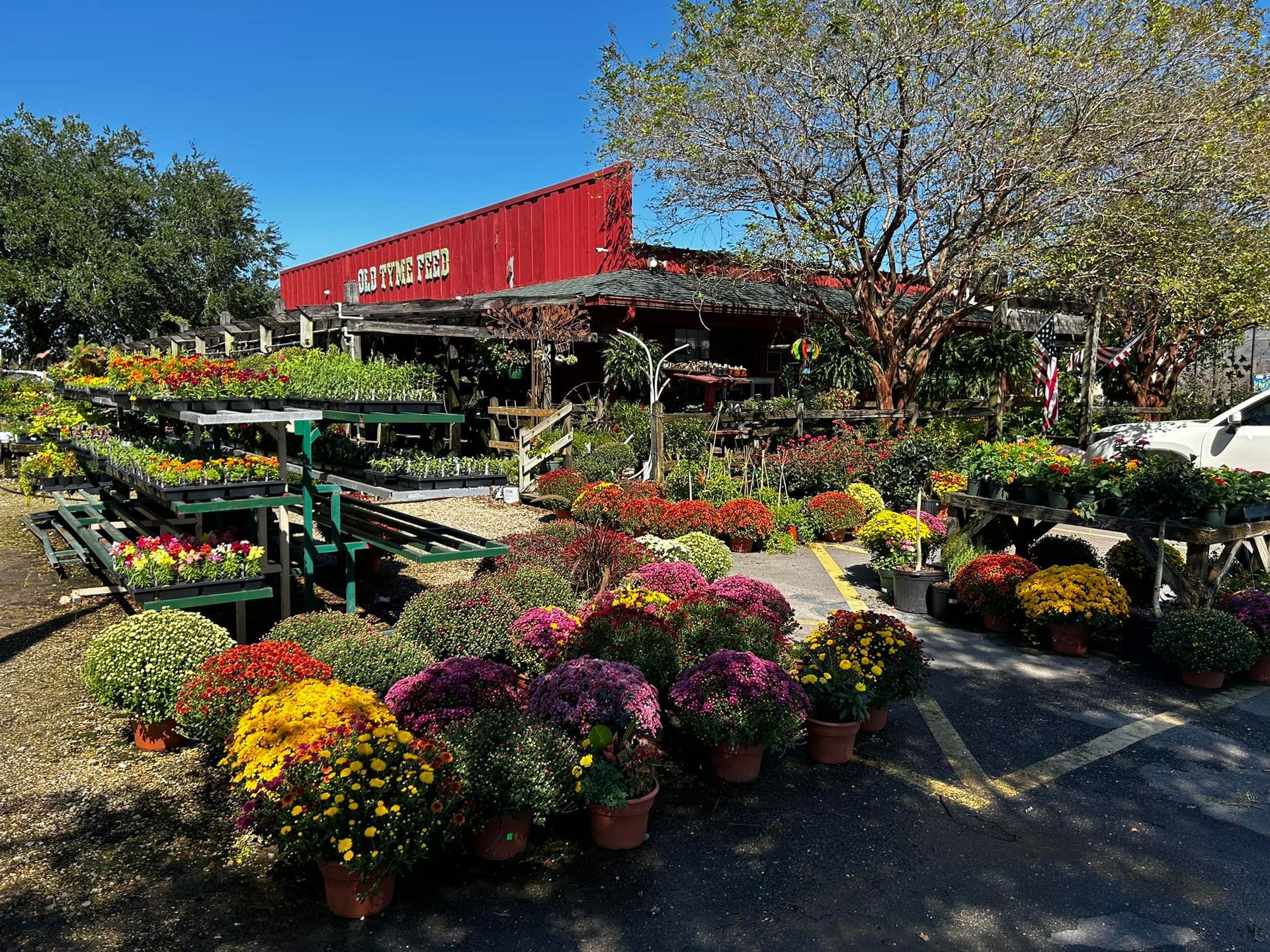 A garden center filled with lots of potted plants and flowers.