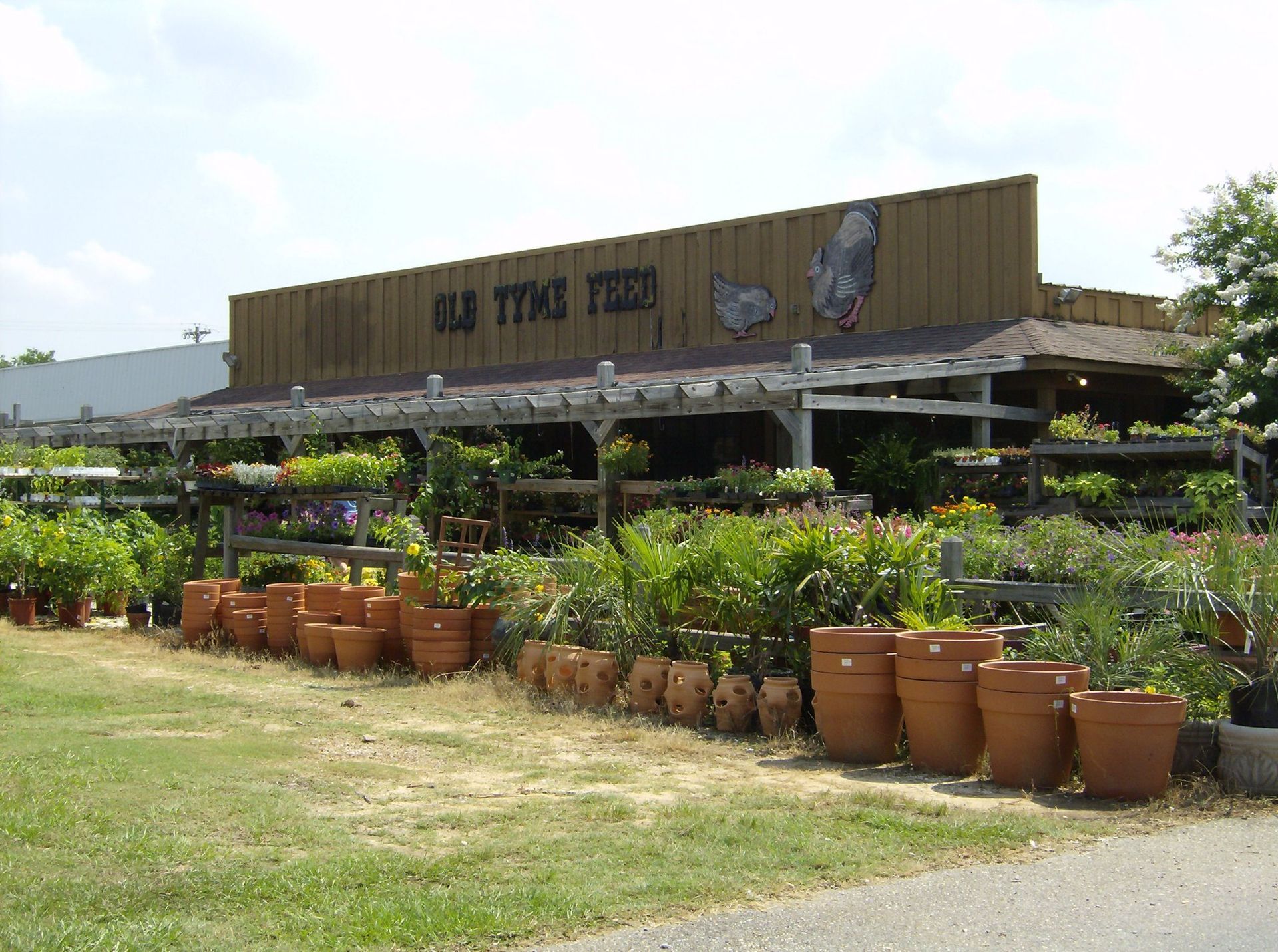 A row of potted plants in front of a building that says old tyms tree
