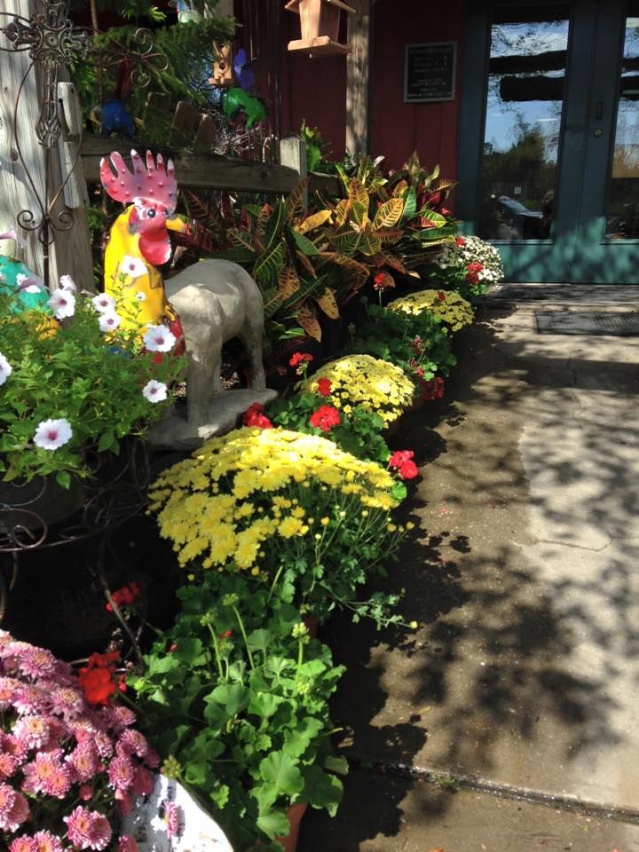 A row of potted flowers are lined up in front of a building.