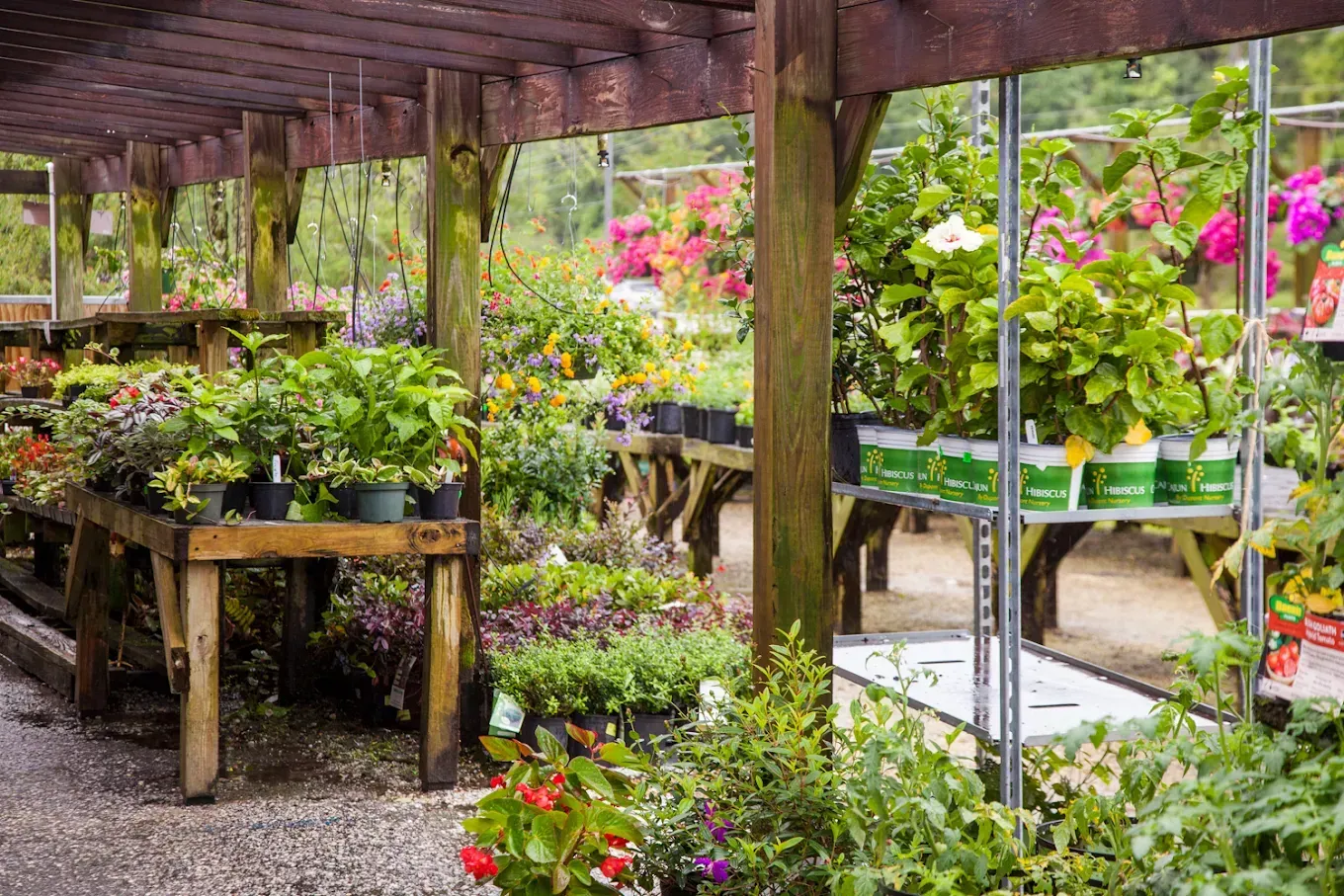 A garden center filled with lots of potted plants and flowers.