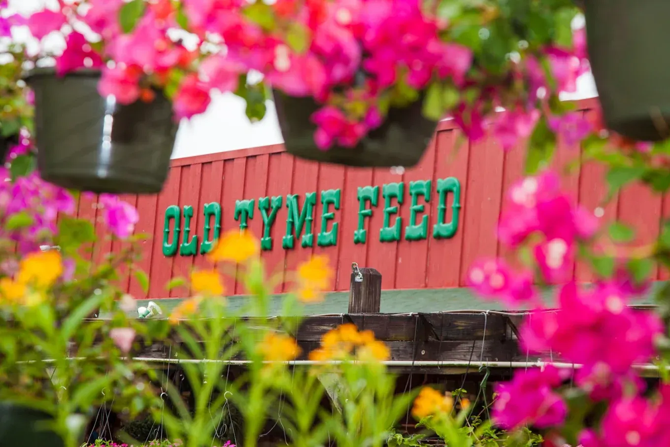 A bunch of flowers are hanging from a fence in front of a building.