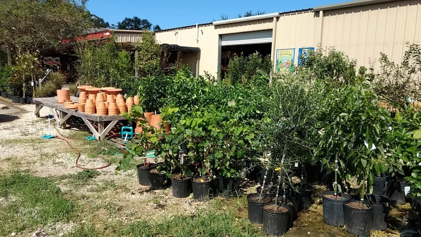 A bunch of potted plants are sitting in front of a building.