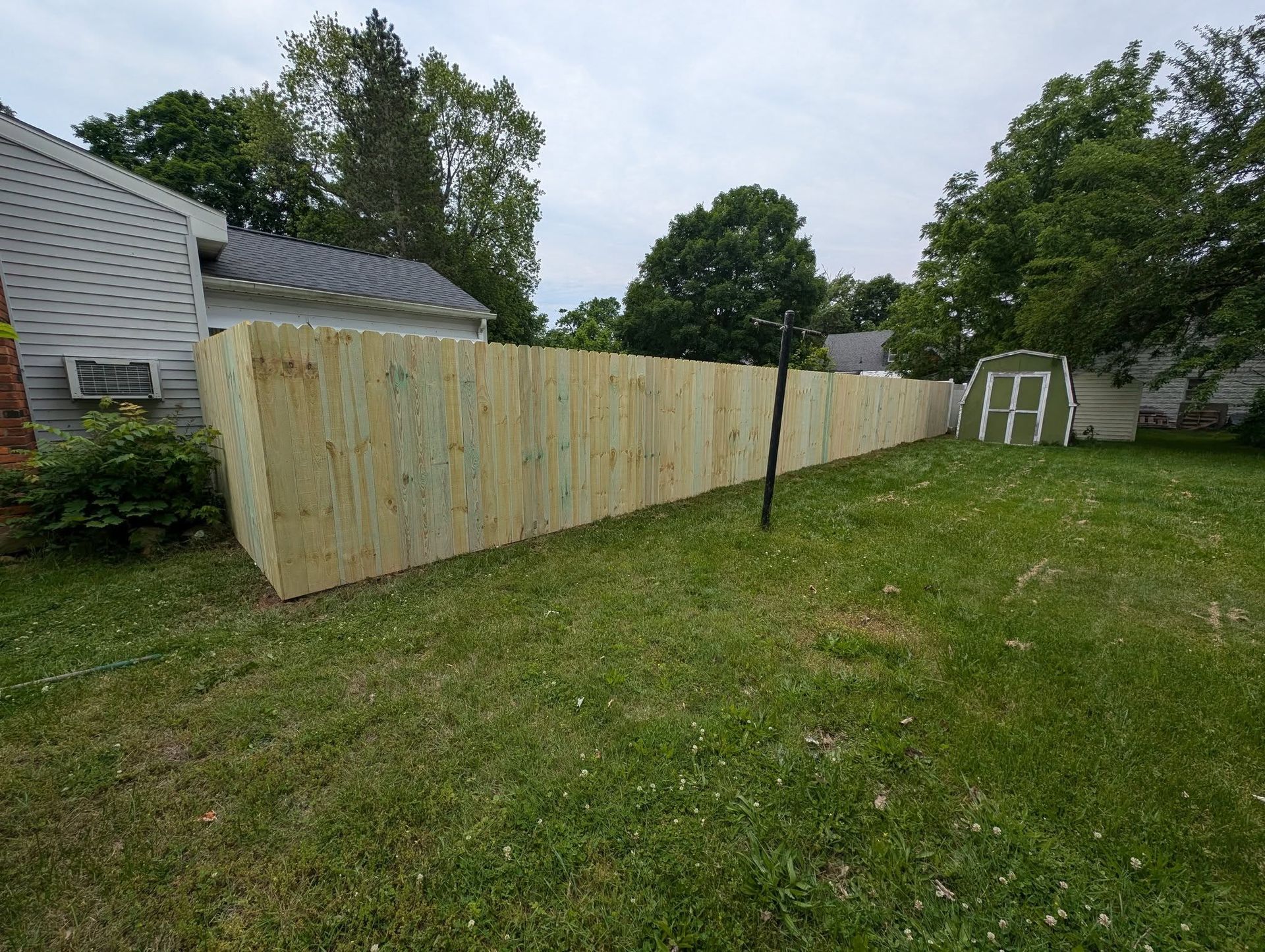 A side yard shows a new wooden fence with lattice topping, running alongside a grey house and overgrown weeds.