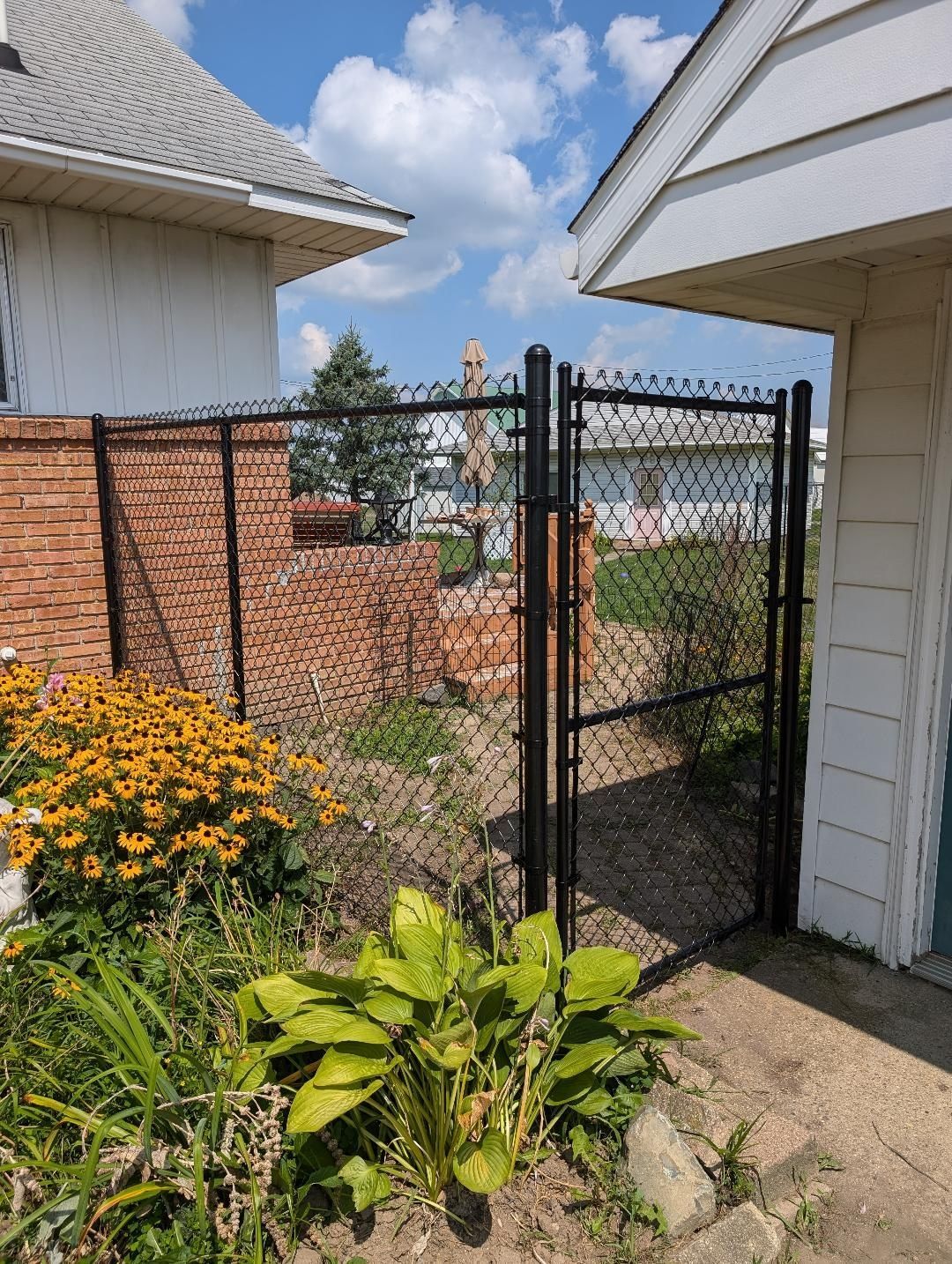 A black chain-link fence and gate positioned between two houses, with yellow flowers and green plants in the foreground.