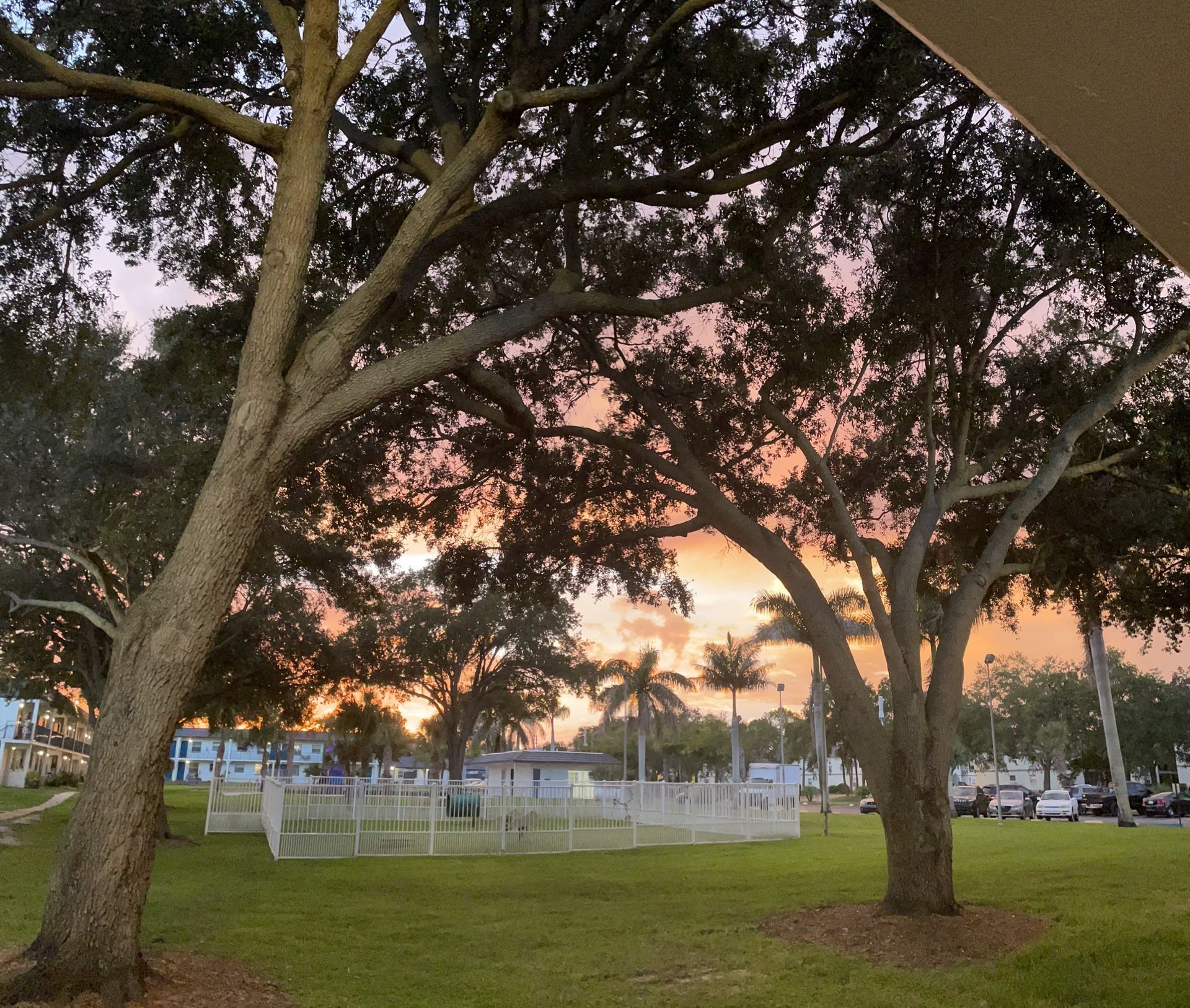 Dog park at Park on Central in Kissimmee, FL.