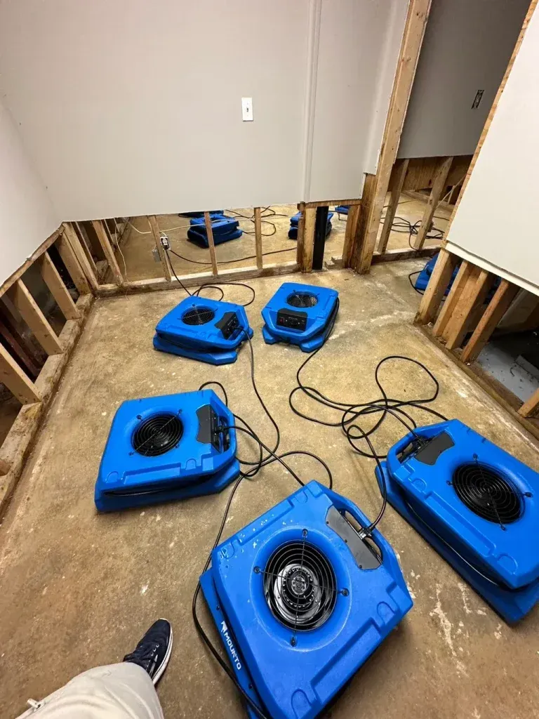 A room with a lot of blue fans on the floor.