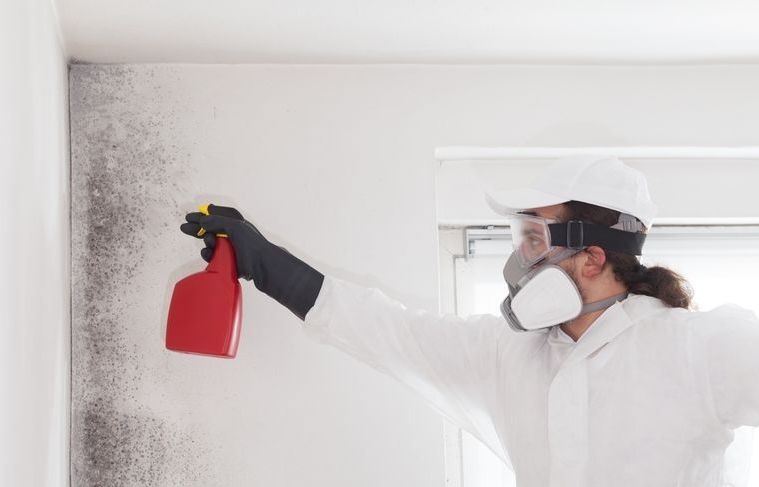 A man in a protective suit and mask is spraying mold on a wall.