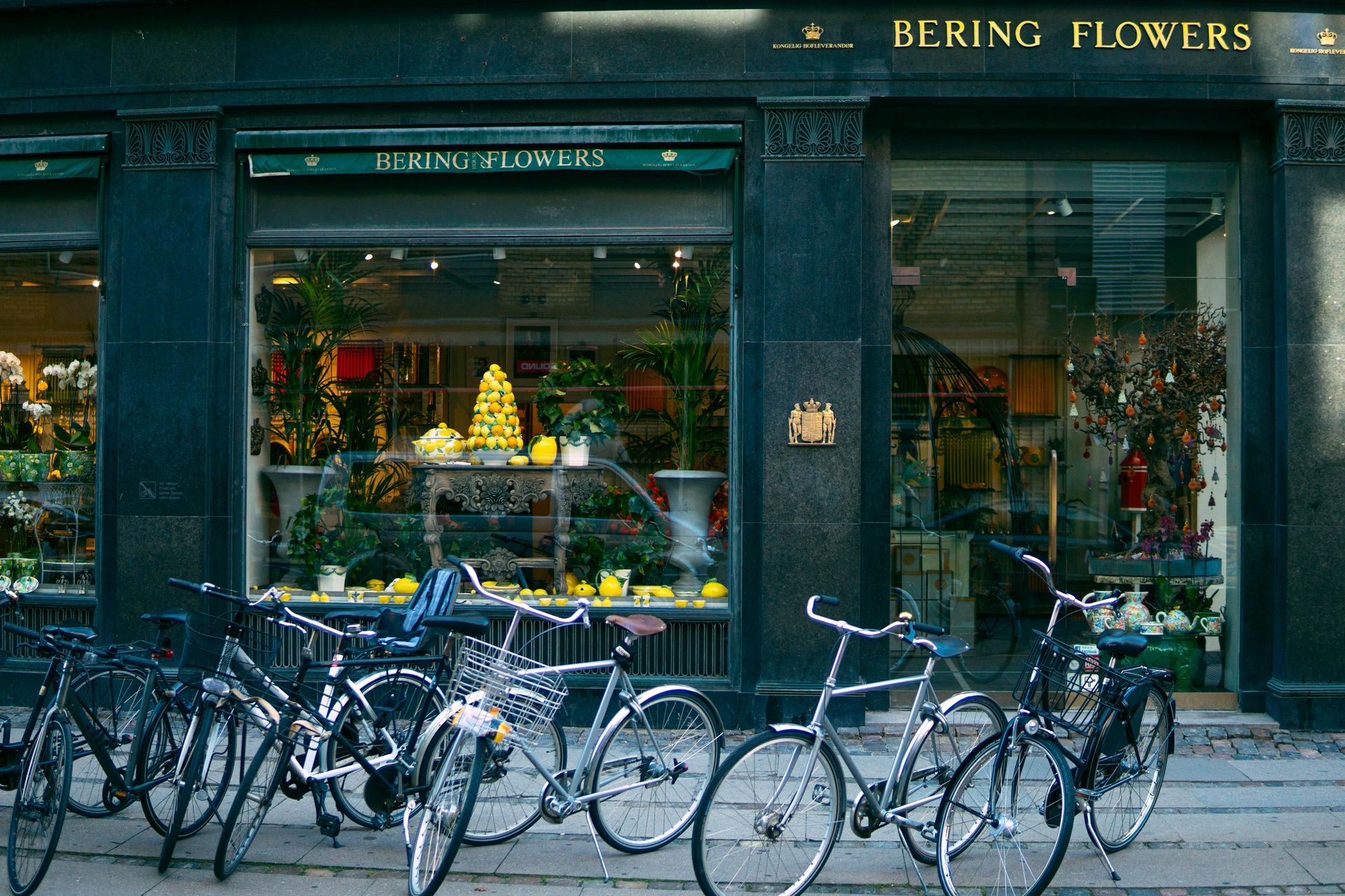 Flower shop with window display and parked bicycles.