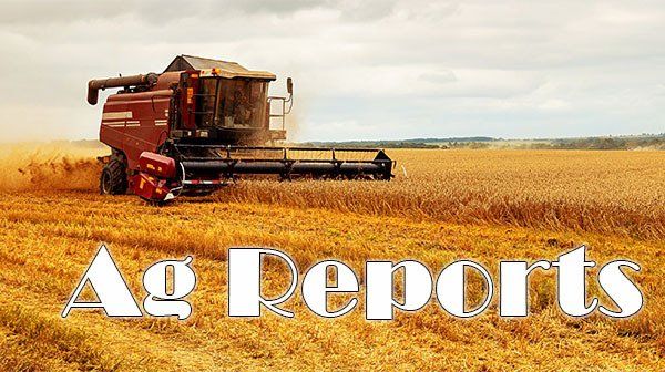 Link to Rugby Broadcasters Ag Reports