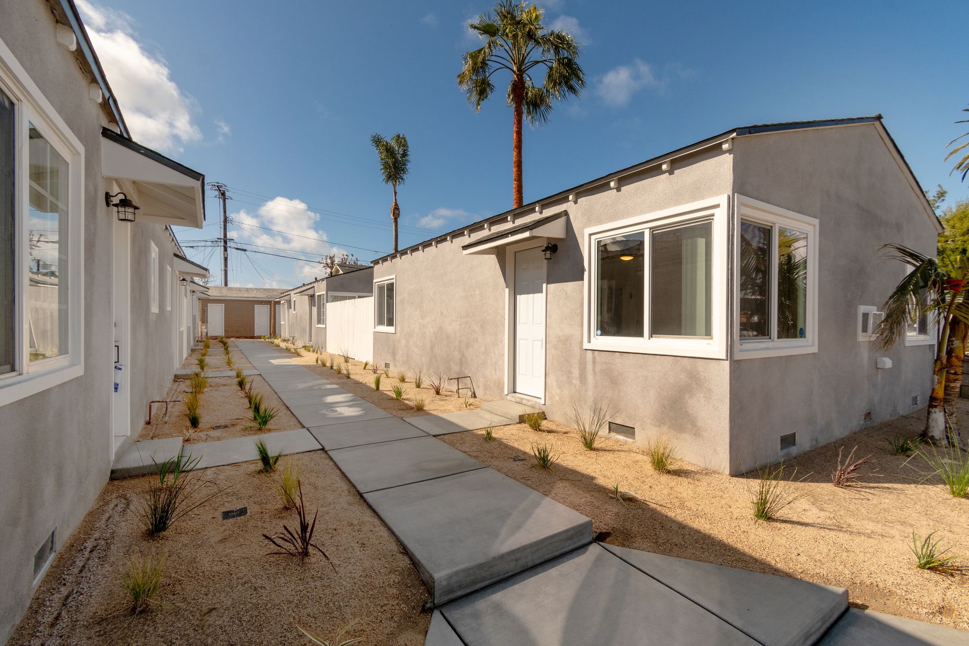 A row of houses with a palm tree in the background.